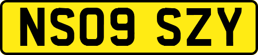 NS09SZY