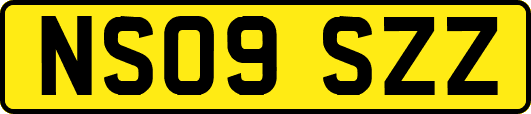 NS09SZZ