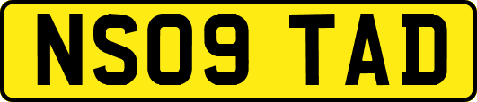 NS09TAD