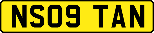 NS09TAN