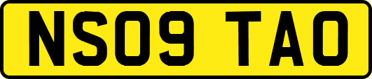 NS09TAO