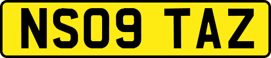NS09TAZ