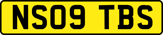 NS09TBS