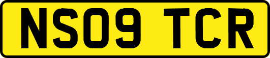 NS09TCR
