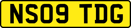 NS09TDG