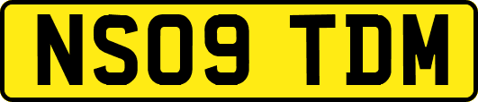 NS09TDM