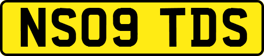 NS09TDS