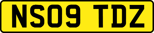 NS09TDZ