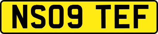 NS09TEF