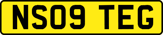 NS09TEG