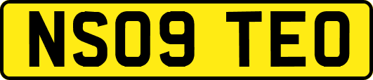 NS09TEO