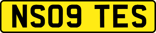 NS09TES