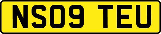 NS09TEU