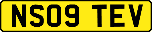 NS09TEV