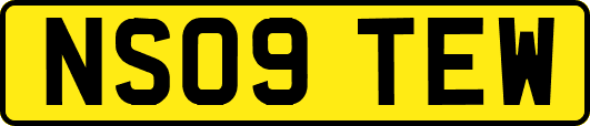 NS09TEW
