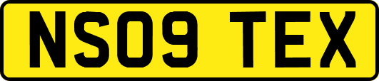 NS09TEX