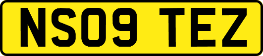 NS09TEZ