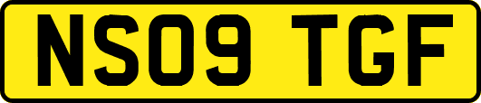 NS09TGF