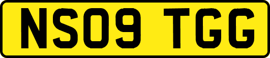 NS09TGG