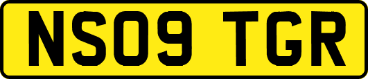 NS09TGR
