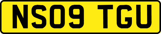 NS09TGU