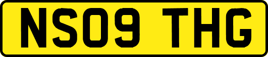 NS09THG