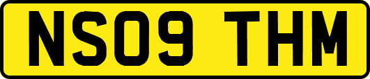NS09THM