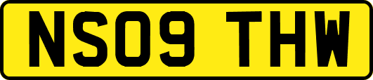 NS09THW