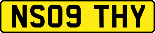 NS09THY