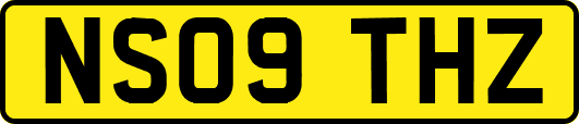 NS09THZ