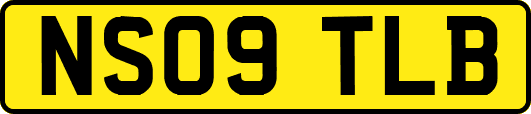 NS09TLB