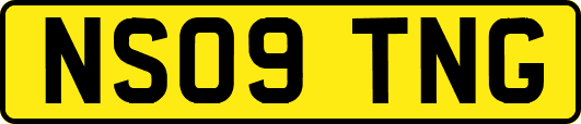 NS09TNG