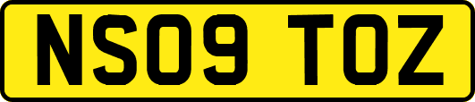 NS09TOZ