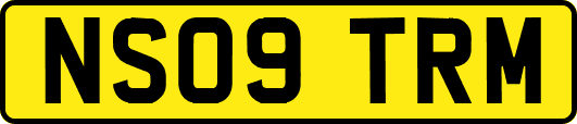 NS09TRM