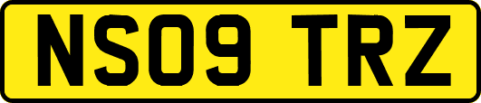NS09TRZ