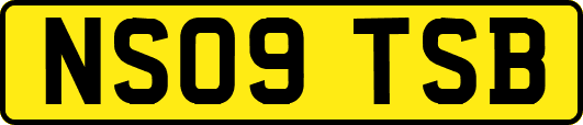NS09TSB