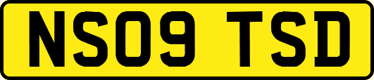 NS09TSD