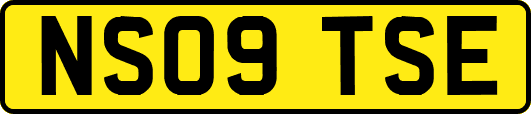 NS09TSE