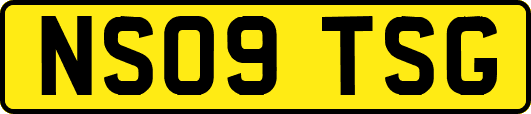 NS09TSG