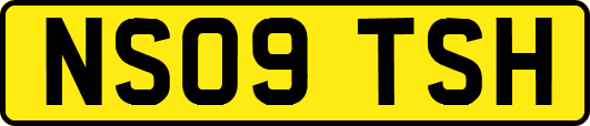 NS09TSH