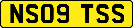 NS09TSS