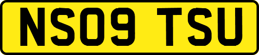 NS09TSU