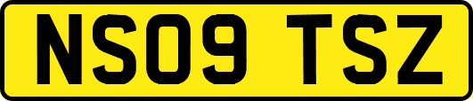 NS09TSZ