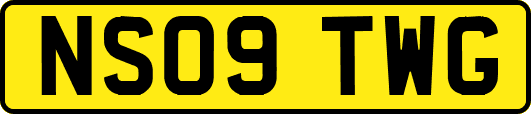 NS09TWG