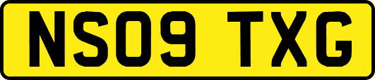 NS09TXG
