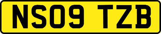 NS09TZB