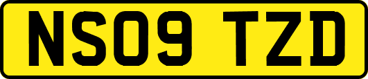 NS09TZD