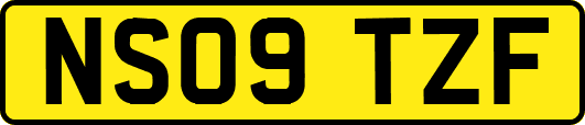 NS09TZF