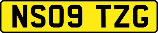 NS09TZG