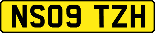 NS09TZH